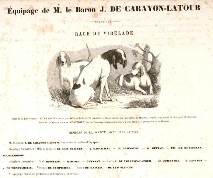 Chiens de Virelade par J. Gélibert - Tiré de l'Exposition du Bois de Boulogne (1863) - Journal des chasseurs